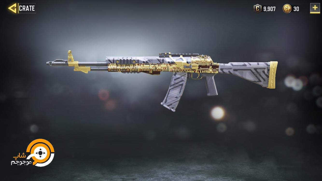 ASM10